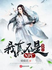 我真不是npc无弹窗