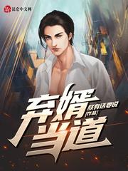 赘婿叶辰王佳珧免费阅读