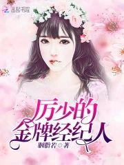 短剧合集金牌经纪人
