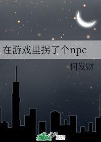 在游戏里拐了个npc番外