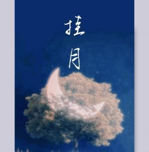 挂月