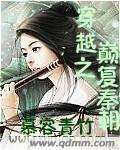 穿越之颠覆秦朝