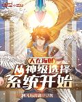 人在海贼从神级选择系统开始