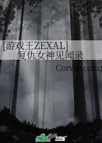 [游戏王ZEXAL]覆仇女神见闻录