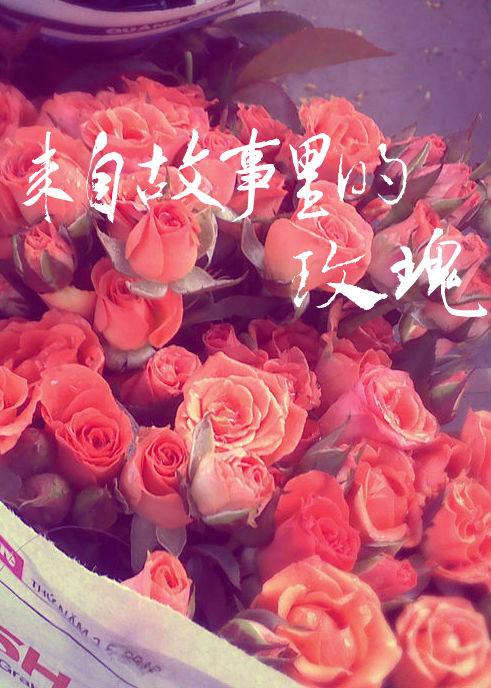 来自故事里的玫瑰无防盗