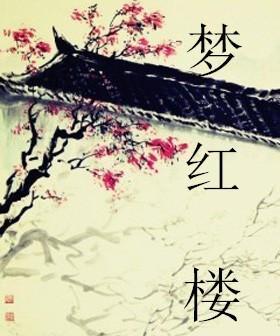 梦红楼是什么意思