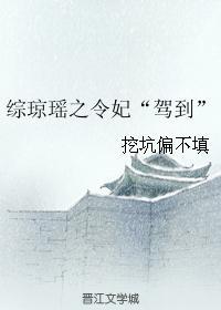 综琼瑶之成亲王