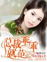 先孕后爱陆总的娇妻