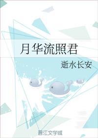 月华流照君