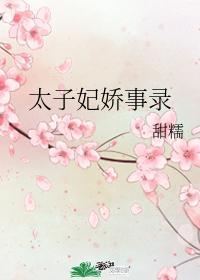太子妃娇事录