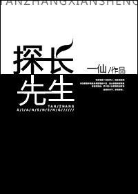 探长先生