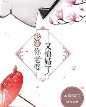 少帅,你老婆又悔婚了靳劭飏傅玉央