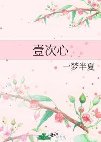 壹次心