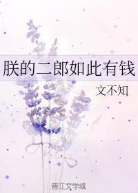 朕的二郎如此有钱