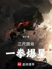 三尺微命,一拳爆星