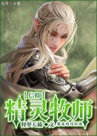 信仰精灵牧师