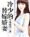 冷少的替嫁娇妻