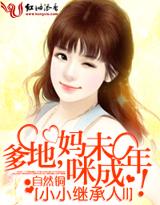 小小继承人ⅱ:爹地，妈咪未成年!