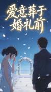 爱情葬礼什么意思