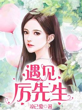 遇见厉先生电视剧