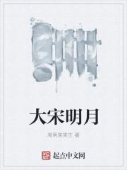 大宋 大明