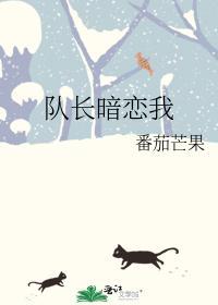队长暗恋我 番茄芒果 晋江