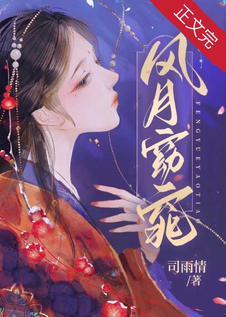 风月俏佳人简介