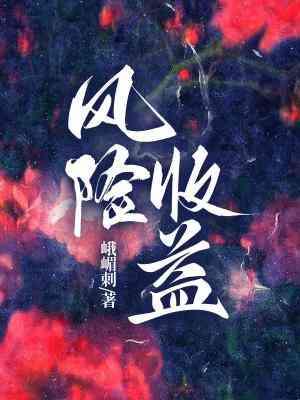 风险收益特征是什么意思